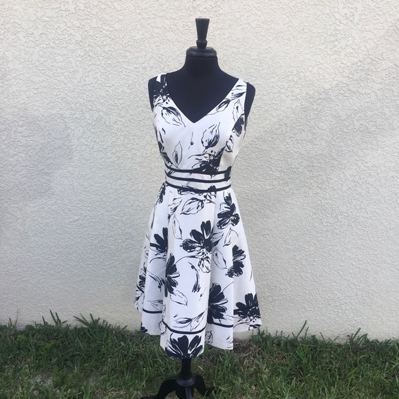 Dress Barn Dresses & Skirts - A-Line Dress